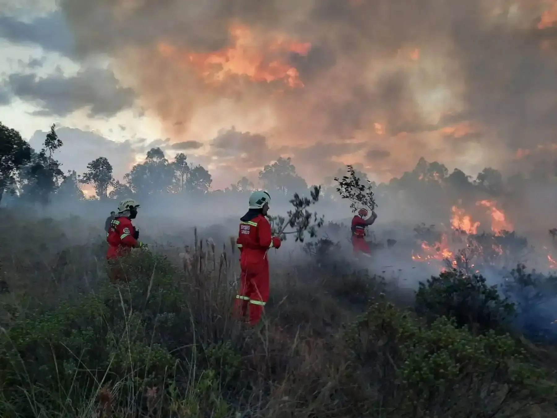 Amazonas: Inician capacitacion a brigadistas para combatir incendios forestales