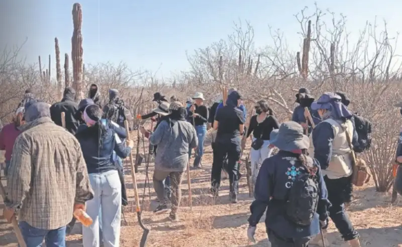 Amnistía Internacional alerta por aumento de 10% de desaparecidos en México