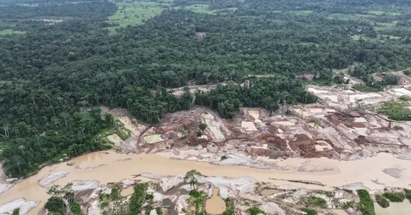 La minería ilegal movió más de US$ 6 mil millones en el sistema financiero en la última década