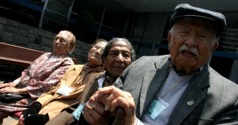 El Perú envejece: los adultos mayores ya representan casi el 15% de la población, según el Censo 2025