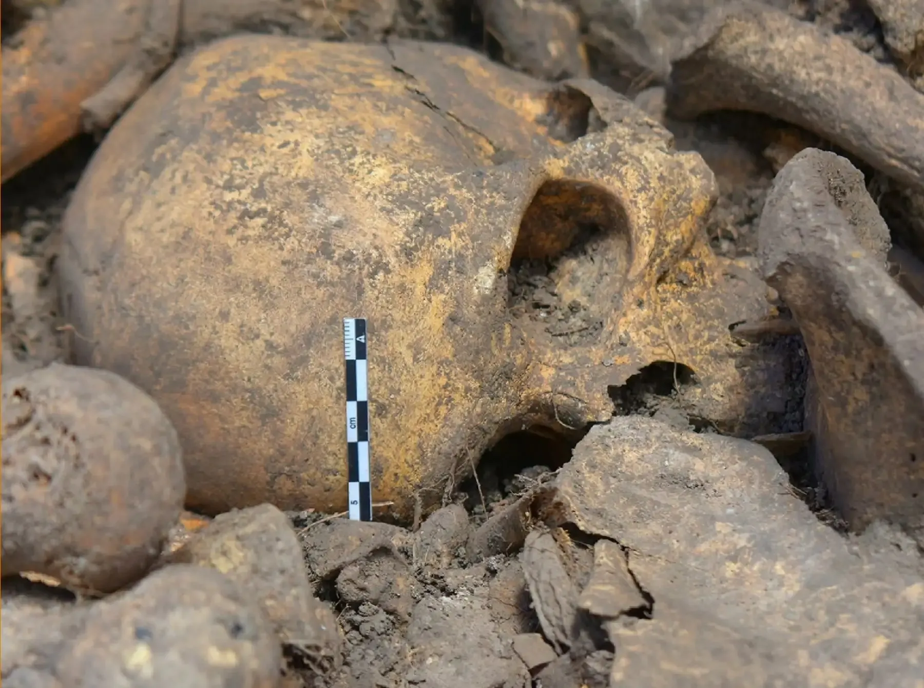 Hallazgo de restos óseos en Kuélap revela complejas prácticas funerarias de los Chachapoya