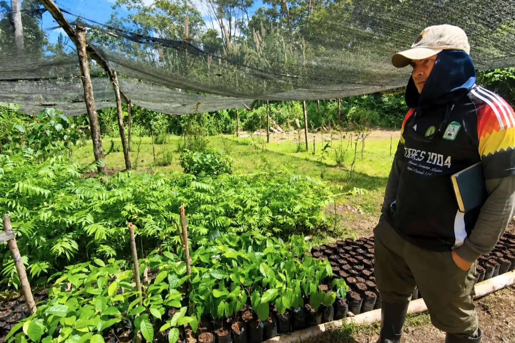Amazonía sostenible: agricultores reciben plantas mejoradas de camu camu y aguaje