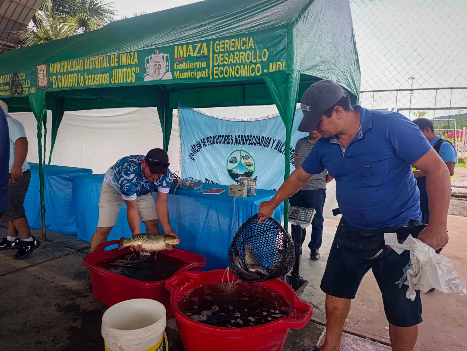 Devida fortalece capacidades productivas de familias acuícolas en comunidades nativas de Amazonas