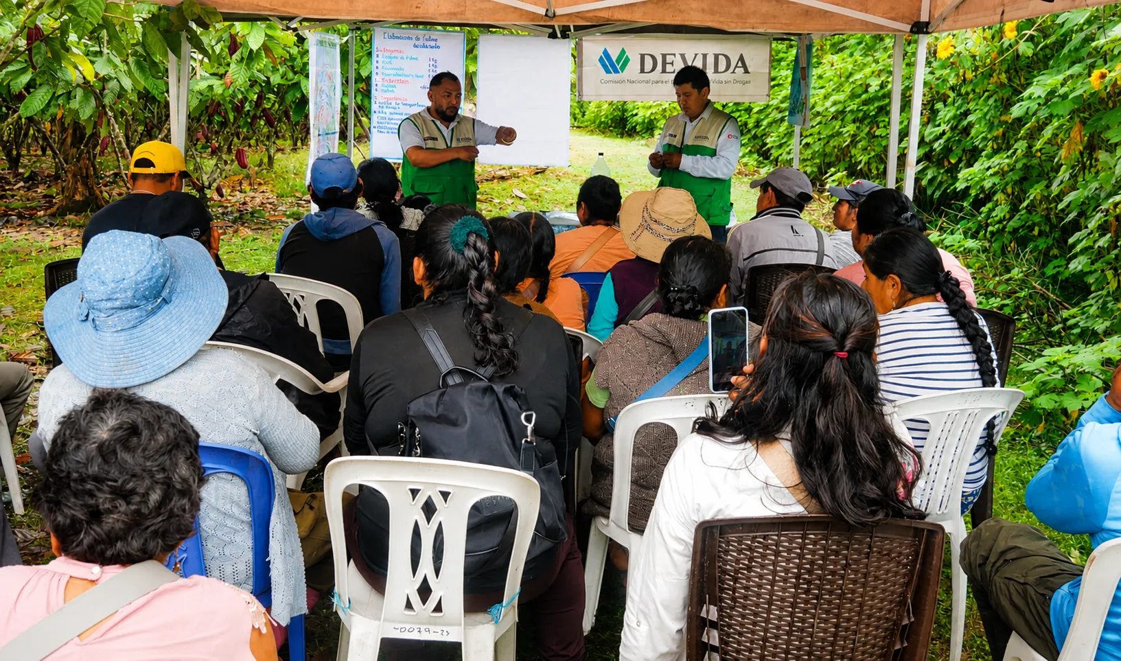 Devida impulsa mejoras en la producción de cacao para beneficiar a más de 100 familias de la Amazonía sur