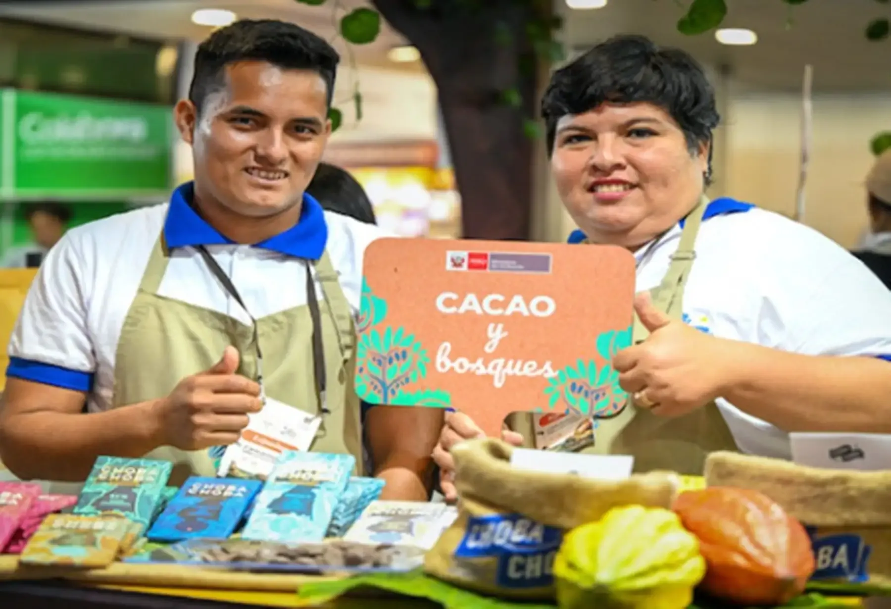 Cacao peruano impulsa conservación de bosques y desarrollo de comunidades amazónicas