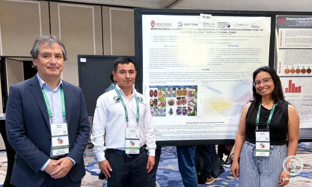 UNTRM presenta investigación sobre papa nativa de Amazonas en uno de los principales eventos científicos del mundo