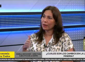 Gremio minero advierte que cambios legales en concesiones fomentarán invasiones y minería ilegal