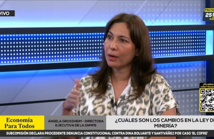 Gremio minero advierte que cambios legales en concesiones fomentarán invasiones y minería ilegal