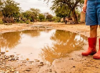 Alerta sanitaria en Perú: tres fallecidos y más de 800 contagios por brote de leptospirosis