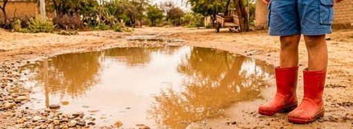 Alerta sanitaria en Perú: tres fallecidos y más de 800 contagios por brote de leptospirosis