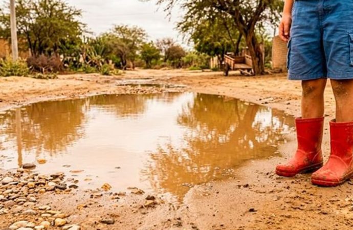 Alerta sanitaria en Perú: tres fallecidos y más de 800 contagios por brote de leptospirosis