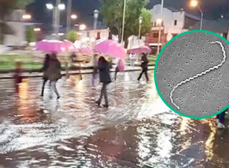 Alerta en Tumbes por brote de leptospirosis tras lluvias: se reportan dos fallecidos